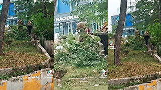 Porno sin hogar Rompe esas nalgas, te dicen los vecinos en un semáforo