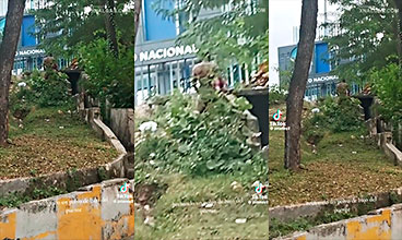 Porno sin hogar Rompe esas nalgas, te dicen los vecinos en un semáforo