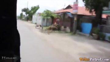El Moto Concho De Las Chinas
