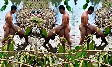 Dominicana Infiel Nunca Imagino Que Alguien Los Grabaría
